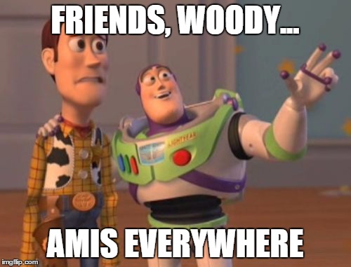 X, X Everywhere Meme | FRIENDS, WOODY... AMIS EVERYWHERE | image tagged in memes,x x everywhere | made w/ Imgflip meme maker