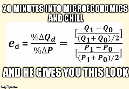 Microeconomics & Chill | 20 MINUTES INTO MICROECONOMICS AND CHILL AND HE GIVES YOU THIS LOOK | image tagged in microeconomics,elasticity | made w/ Imgflip meme maker