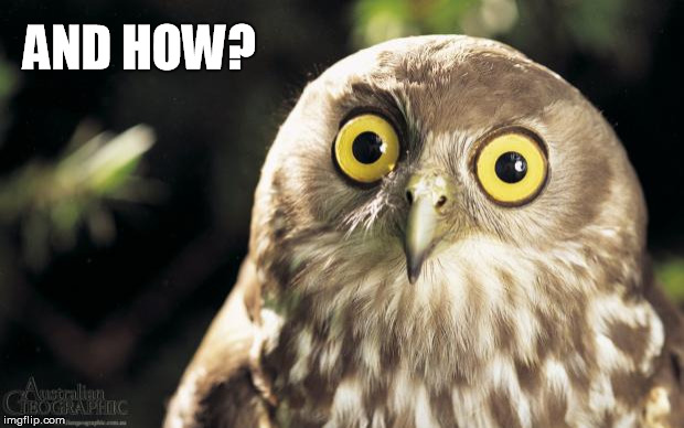 owl thing | AND HOW? | image tagged in owl thing | made w/ Imgflip meme maker