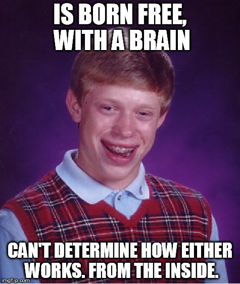 Bad Luck Brian Meme | IS BORN FREE, WITH A BRAIN CAN'T DETERMINE HOW EITHER WORKS. FROM THE INSIDE. | image tagged in memes,bad luck brian | made w/ Imgflip meme maker