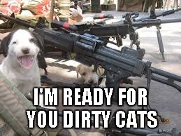I'M READY FOR YOU DIRTY CATS | made w/ Imgflip meme maker