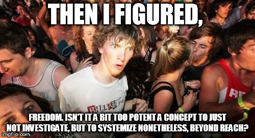 Sudden Clarity Clarence | THEN I FIGURED, FREEDOM. ISN'T IT A BIT TOO POTENT A CONCEPT TO JUST NOT INVESTIGATE, BUT TO SYSTEMIZE NONETHELESS, BEYOND REACH? | image tagged in memes,sudden clarity clarence | made w/ Imgflip meme maker