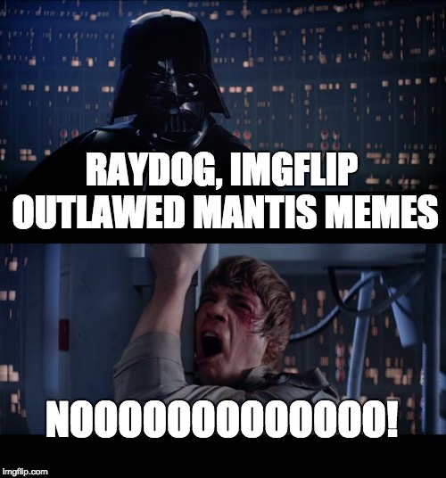 Raydog | RAYDOG, IMGFLIP OUTLAWED MANTIS MEMES NOOOOOOOOOOOOO! | image tagged in memes,star wars no | made w/ Imgflip meme maker