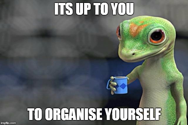 I just saved a ton of money by switching to DIY juice | ITS UP TO YOU TO ORGANISE YOURSELF | image tagged in i just saved a ton of money by switching to diy juice | made w/ Imgflip meme maker