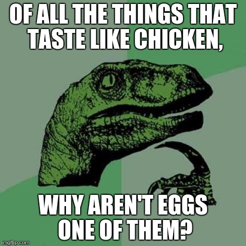 Philosoraptor | OF ALL THE THINGS THAT TASTE LIKE CHICKEN, WHY AREN'T EGGS ONE OF THEM? | image tagged in memes,philosoraptor | made w/ Imgflip meme maker