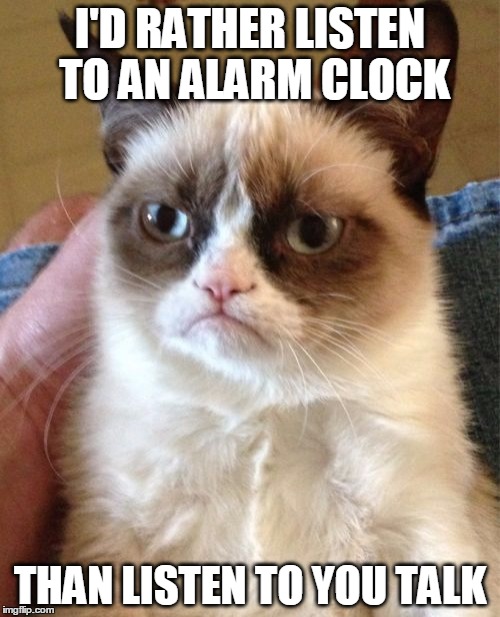 Grumpy Cat Meme | I'D RATHER LISTEN TO AN ALARM CLOCK THAN LISTEN TO YOU TALK | image tagged in memes,grumpy cat | made w/ Imgflip meme maker