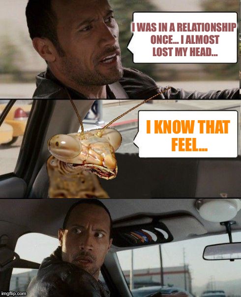 The Rock driving | I WAS IN A RELATIONSHIP ONCE... I ALMOST LOST MY HEAD... I KNOW THAT FEEL... | image tagged in the rock driving mantis,memes,praying mantis | made w/ Imgflip meme maker