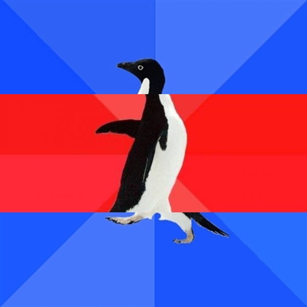 Socially Awk-Awe-Awk Penguin Blank Meme Template