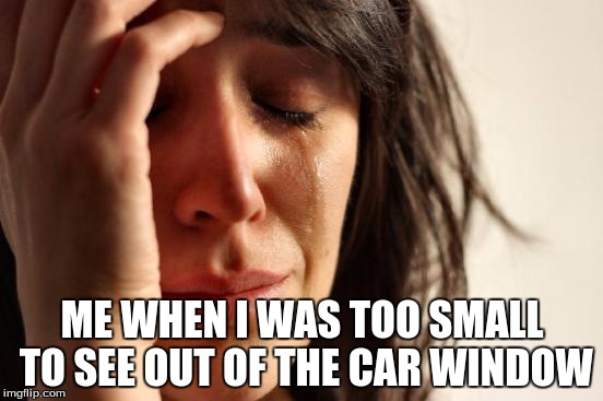 First World Problems Meme | ME WHEN I WAS TOO SMALL TO SEE OUT OF THE CAR WINDOW | image tagged in memes,first world problems | made w/ Imgflip meme maker