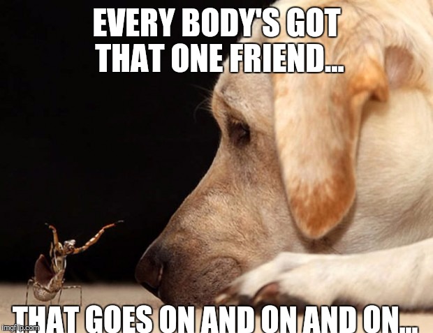 Please., go on | EVERY BODY'S GOT THAT ONE FRIEND... THAT GOES ON AND ON AND ON... | image tagged in memes | made w/ Imgflip meme maker