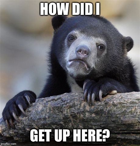 Confession Bear | HOW DID I GET UP HERE? | image tagged in memes,confession bear | made w/ Imgflip meme maker