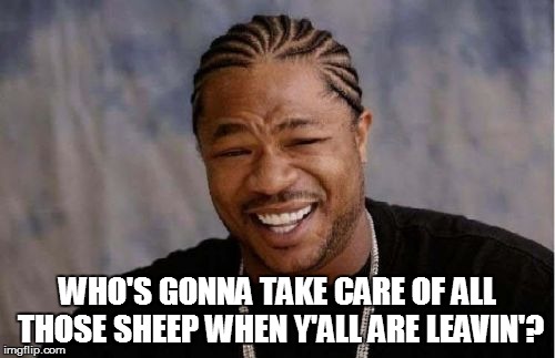 Yo Dawg Heard You Meme | WHO'S GONNA TAKE CARE OF ALL THOSE SHEEP WHEN Y'ALL ARE LEAVIN'? | image tagged in memes,yo dawg heard you | made w/ Imgflip meme maker