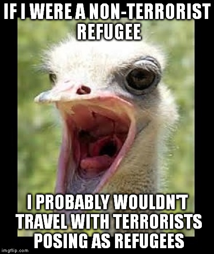 But, that's me | IF I WERE A NON-TERRORIST REFUGEE I PROBABLY WOULDN'T TRAVEL WITH TERRORISTS POSING AS REFUGEES | image tagged in know it all ostrich | made w/ Imgflip meme maker
