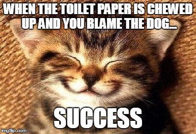smiling kitty | WHEN THE TOILET PAPER IS CHEWED UP AND YOU BLAME THE DOG... SUCCESS | image tagged in smiling kitty | made w/ Imgflip meme maker