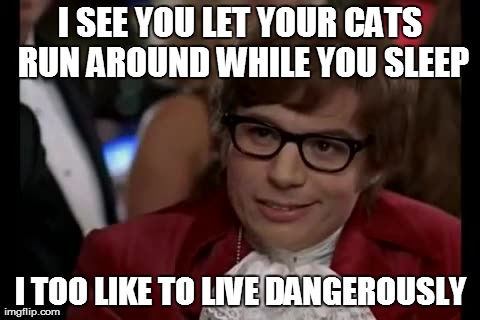 I Too Like To Live Dangerously Meme | I SEE YOU LET YOUR CATS RUN AROUND WHILE YOU SLEEP I TOO LIKE TO LIVE DANGEROUSLY | image tagged in memes,i too like to live dangerously | made w/ Imgflip meme maker