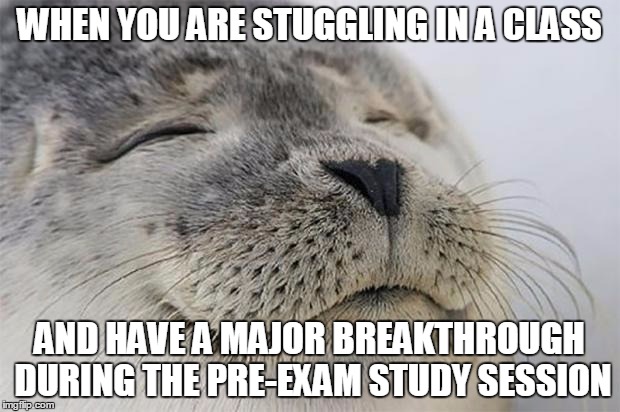 Satisfied Seal Meme | WHEN YOU ARE STUGGLING IN A CLASS AND HAVE A MAJOR BREAKTHROUGH DURING THE PRE-EXAM STUDY SESSION | image tagged in memes,satisfied seal,AdviceAnimals | made w/ Imgflip meme maker