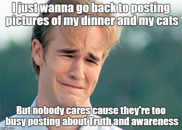 Oh, Boo Hoo | I just wanna go back to posting pictures of my dinner and my cats But nobody cares cause they're too busy posting about Truth and awareness | image tagged in memes | made w/ Imgflip meme maker