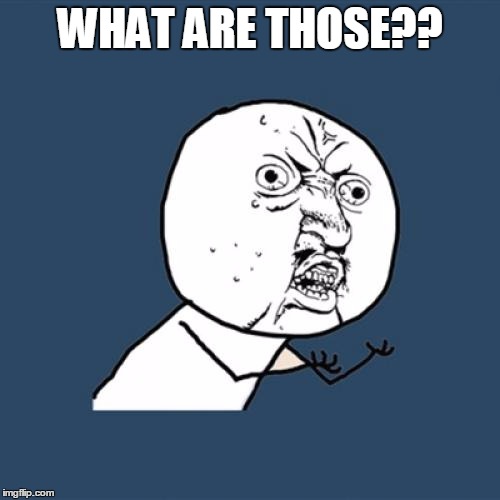 Y U No Meme | WHAT ARE THOSE?? | image tagged in memes,y u no | made w/ Imgflip meme maker