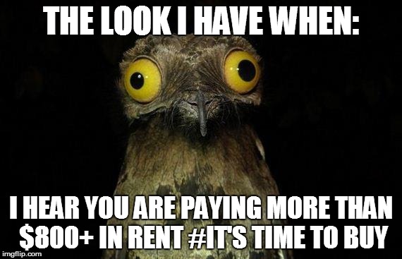 Weird Stuff I Do Potoo Meme | THE LOOK I HAVE WHEN: I HEAR YOU ARE PAYING MORE THAN $800+ IN RENT #IT'S TIME TO BUY | image tagged in memes,weird stuff i do potoo | made w/ Imgflip meme maker