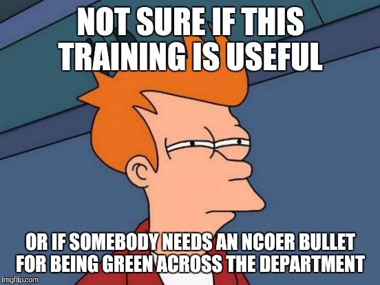 Futurama Fry Meme | NOT SURE IF THIS TRAINING IS USEFUL OR IF SOMEBODY NEEDS AN NCOER BULLET FOR BEING GREEN ACROSS THE DEPARTMENT | image tagged in memes,futurama fry | made w/ Imgflip meme maker