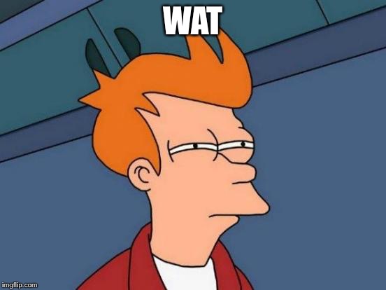 Futurama Fry Meme | WAT | image tagged in memes,futurama fry | made w/ Imgflip meme maker