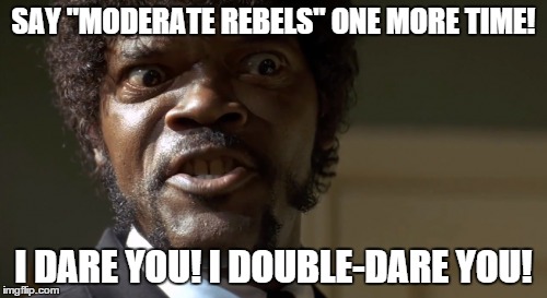 Moderate rebels. | SAY "MODERATE REBELS" ONE MORE TIME! I DARE YOU! I DOUBLE-DARE YOU! | image tagged in memes,political | made w/ Imgflip meme maker