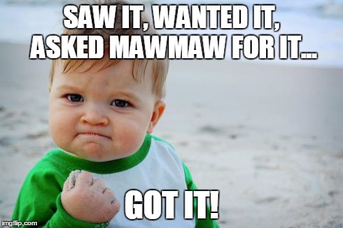 Success Kid Original | SAW IT, WANTED IT, ASKED MAWMAW FOR IT... GOT IT! | image tagged in memes,success kid original | made w/ Imgflip meme maker