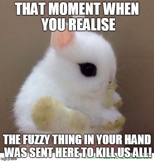 THAT MOMENT WHEN YOU REALISE THE FUZZY THING IN YOUR HAND WAS SENT HERE TO KILL US ALL! | image tagged in bunn bunn | made w/ Imgflip meme maker