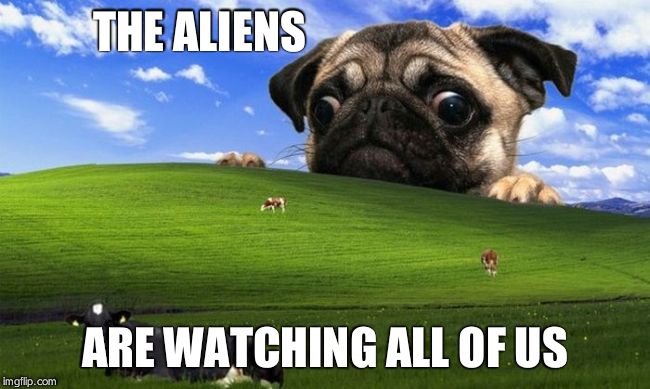 Pug Windows hill | THE ALIENS ARE WATCHING ALL OF US | image tagged in pug windows hill | made w/ Imgflip meme maker