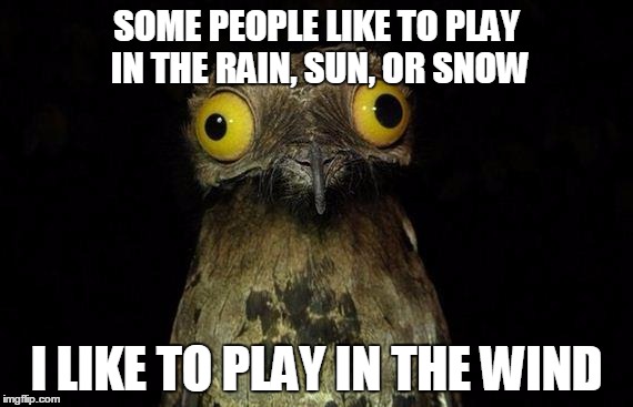 Weird Stuff I Do Potoo Meme | SOME PEOPLE LIKE TO PLAY IN THE RAIN, SUN, OR SNOW I LIKE TO PLAY IN THE WIND | image tagged in memes,weird stuff i do potoo | made w/ Imgflip meme maker