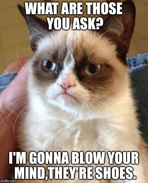 Grumpy Cat | WHAT ARE THOSE YOU ASK? I'M GONNA BLOW YOUR MIND,THEY'RE SHOES. | image tagged in memes,grumpy cat | made w/ Imgflip meme maker