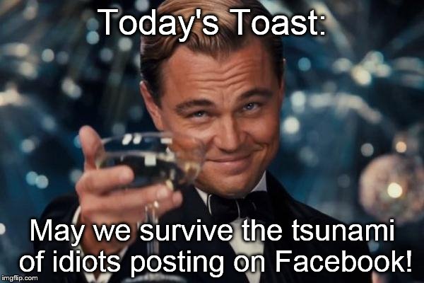 Leonardo Dicaprio Cheers | Today's Toast: May we survive the tsunami of idiots posting on Facebook! | image tagged in memes,leonardo dicaprio cheers | made w/ Imgflip meme maker