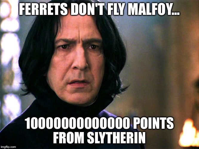 Bullshit ten points from... | FERRETS DON'T FLY MALFOY... 10000000000000 POINTS FROM SLYTHERIN | image tagged in bullshit ten points from | made w/ Imgflip meme maker