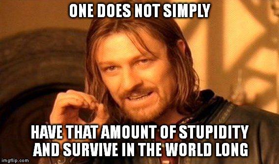 One Does Not Simply Meme | ONE DOES NOT SIMPLY HAVE THAT AMOUNT OF STUPIDITY AND SURVIVE IN THE WORLD LONG | image tagged in memes,one does not simply | made w/ Imgflip meme maker