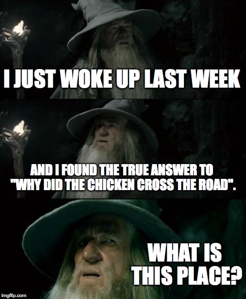 Confused Gandalf | I JUST WOKE UP LAST WEEK AND I FOUND THE TRUE ANSWER TO "WHY DID THE CHICKEN CROSS THE ROAD". WHAT IS THIS PLACE? | image tagged in memes,confused gandalf | made w/ Imgflip meme maker