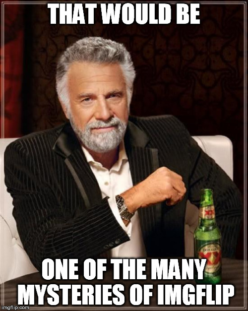 The Most Interesting Man In The World Meme | THAT WOULD BE ONE OF THE MANY MYSTERIES OF IMGFLIP | image tagged in memes,the most interesting man in the world | made w/ Imgflip meme maker