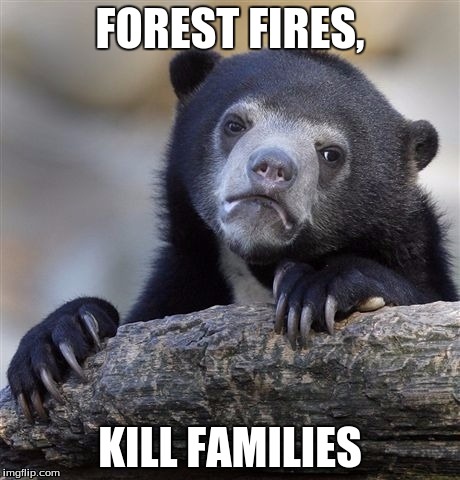 Confession Bear | FOREST FIRES, KILL FAMILIES | image tagged in memes,confession bear | made w/ Imgflip meme maker