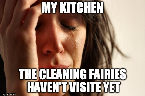 First World Problems Meme | MY KITCHEN THE CLEANING FAIRIES HAVEN'T VISITE YET | image tagged in memes,first world problems | made w/ Imgflip meme maker