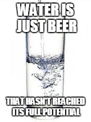 Beer is dear. | WATER IS JUST BEER THAT HASN'T REACHED ITS FULL POTENTIAL | image tagged in water,beer | made w/ Imgflip meme maker