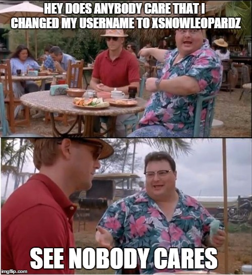 See Nobody Cares Meme | HEY DOES ANYBODY CARE THAT I CHANGED MY USERNAME TO XSNOWLEOPARDZ SEE NOBODY CARES | image tagged in memes,see nobody cares | made w/ Imgflip meme maker
