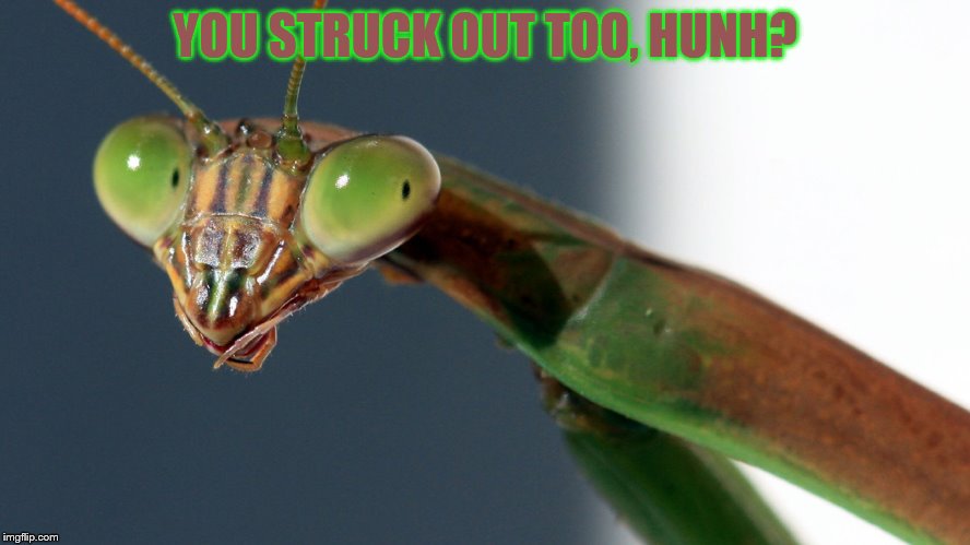 YOU STRUCK OUT TOO, HUNH? | made w/ Imgflip meme maker