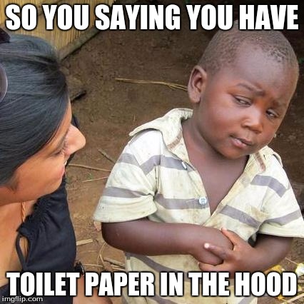 Third World Skeptical Kid Meme | SO YOU SAYING YOU HAVE TOILET PAPER IN THE HOOD | image tagged in memes,third world skeptical kid | made w/ Imgflip meme maker