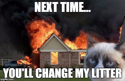 Burn Kitty | NEXT TIME... YOU'LL CHANGE MY LITTER | image tagged in memes,burn kitty | made w/ Imgflip meme maker