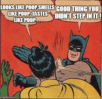 Batman Slapping Robin Meme | LOOKS LIKE POOP,SMELLS LIKE POOP, TASTES LIKE POOP . . . GOOD THING YOU DIDN'T STEP IN IT ! | image tagged in memes,batman slapping robin | made w/ Imgflip meme maker