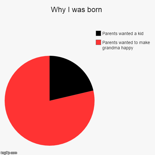 Why I was born | Parents wanted to make grandma happy, Parents wanted a kid | image tagged in funny,pie charts | made w/ Imgflip chart maker