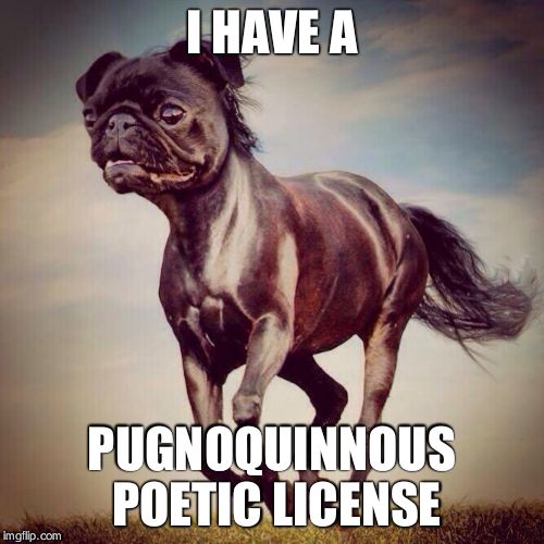 Horse pug | I HAVE A PUGNOQUINNOUS POETIC LICENSE | image tagged in horse pug | made w/ Imgflip meme maker