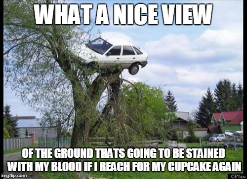 Secure Parking | WHAT A NICE VIEW OF THE GROUND THATS GOING TO BE STAINED WITH MY BLOOD IF I REACH FOR MY CUPCAKE AGAIN | image tagged in memes,secure parking | made w/ Imgflip meme maker