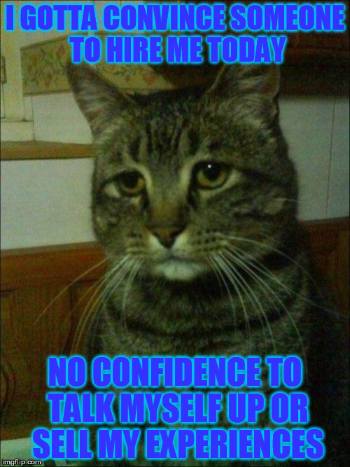 Job Interview | I GOTTA CONVINCE SOMEONE TO HIRE ME TODAY NO CONFIDENCE TO TALK MYSELF UP OR SELL MY EXPERIENCES | image tagged in memes,depressed cat,job,anxiety | made w/ Imgflip meme maker