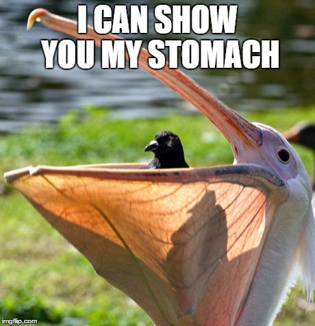 I CAN SHOW YOU MY STOMACH | made w/ Imgflip meme maker