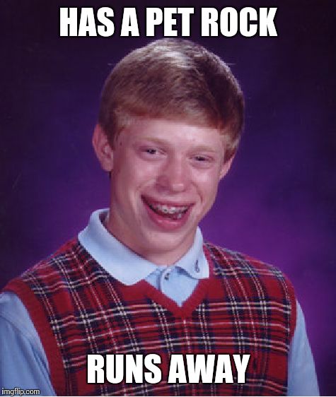 Bad Luck Brian | HAS A PET ROCK RUNS AWAY | image tagged in memes,bad luck brian | made w/ Imgflip meme maker